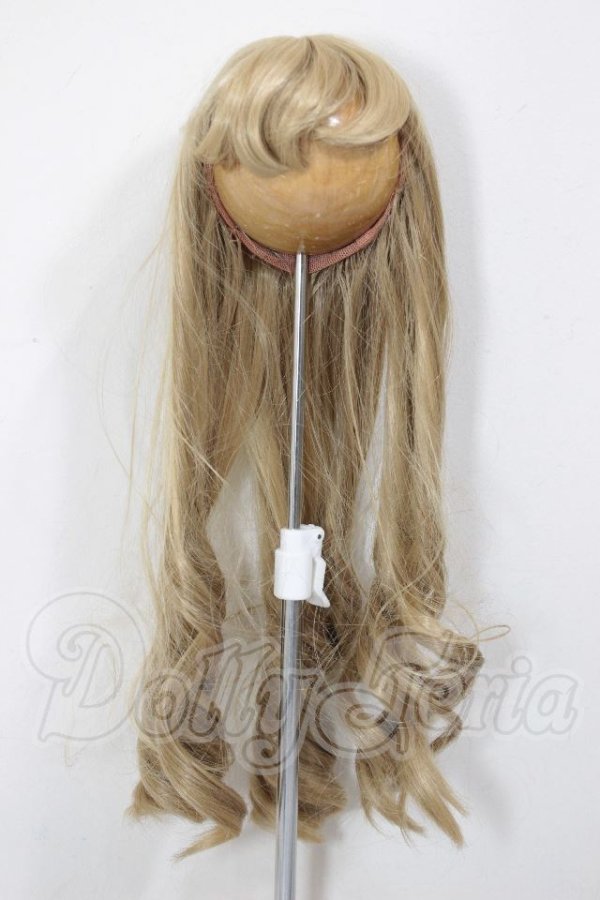 画像1: 9inch/ウィッグ　MIMIEL様製 A-26-04-22-278-NY-ZA (1)