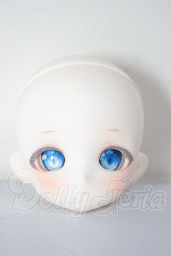 画像1: TinyFox/HS-01ヘッド　FANTASIC　WORLD様カスタム A-26-04-22-260-NY-ZA (1)