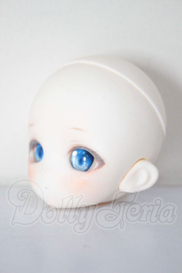 画像2: TinyFox/HS-01ヘッド　FANTASIC　WORLD様カスタム A-26-04-22-260-NY-ZA (2)