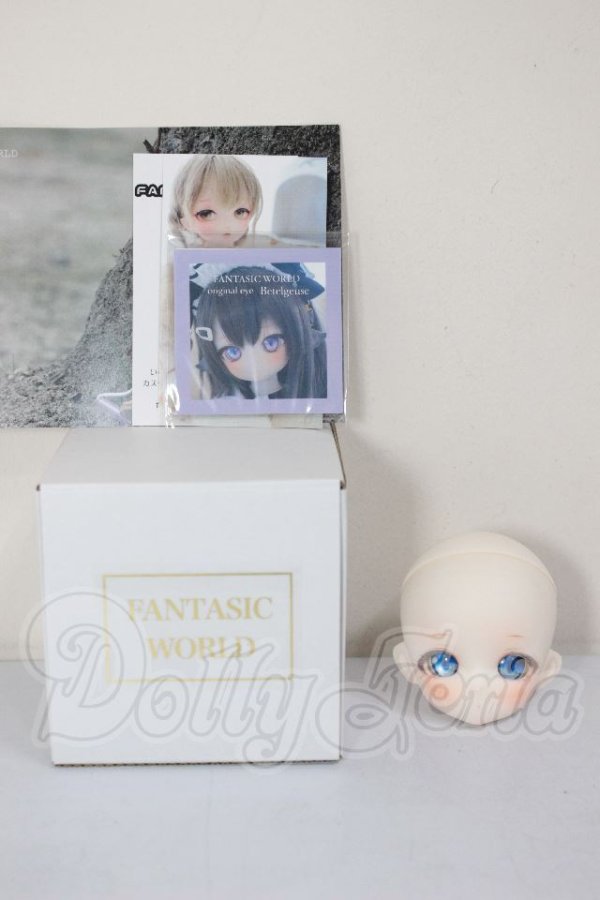 画像5: TinyFox/HS-01ヘッド　FANTASIC　WORLD様カスタム A-26-04-22-260-NY-ZA (5)