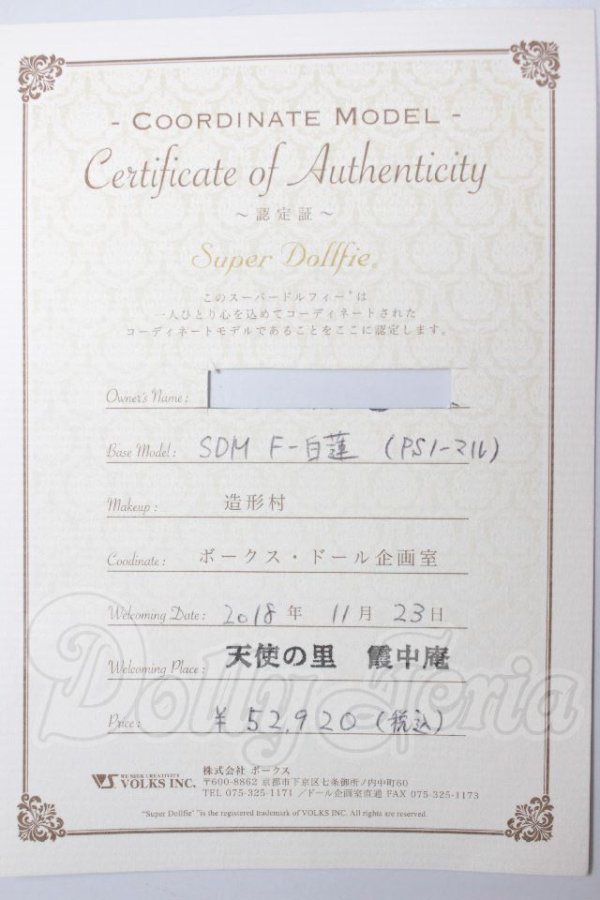 画像8: SDM女の子/コーディネートモデル白蓮 A-26-04-22-322-NY-ZA (8)