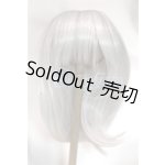 画像: 8-9inch/ウィッグ/インチ　BJD　MJD　ドール用 A-26-05-06-027-NY-ZA