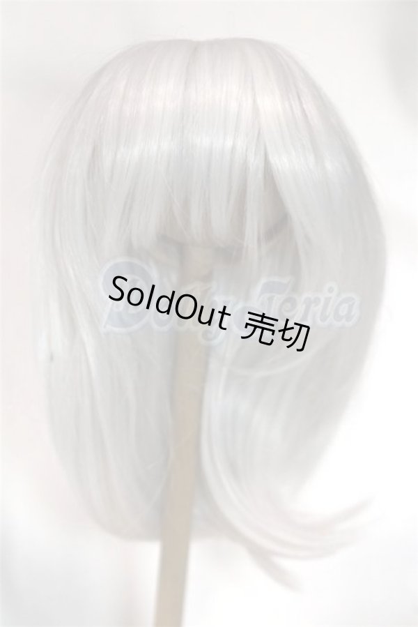 画像1: 8-9inch/ウィッグ/インチ　BJD　MJD　ドール用 A-26-05-06-027-NY-ZA (1)