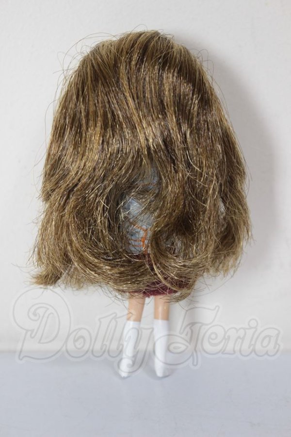 画像3: プチブライス/シナモンガール A-26-04-22-387-NY-ZA (3)