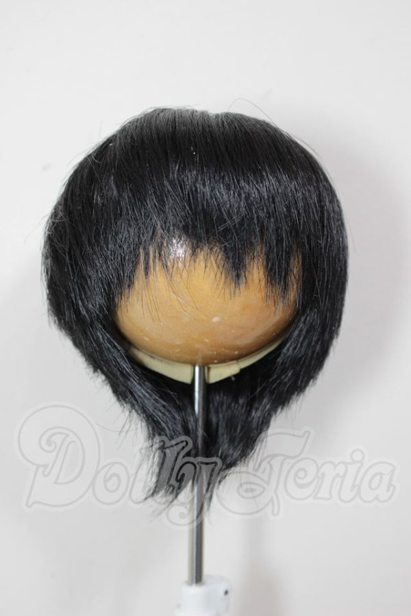 画像1: 8-9inch/ウィッグ A-26-04-29-148-NY-ZA (1)