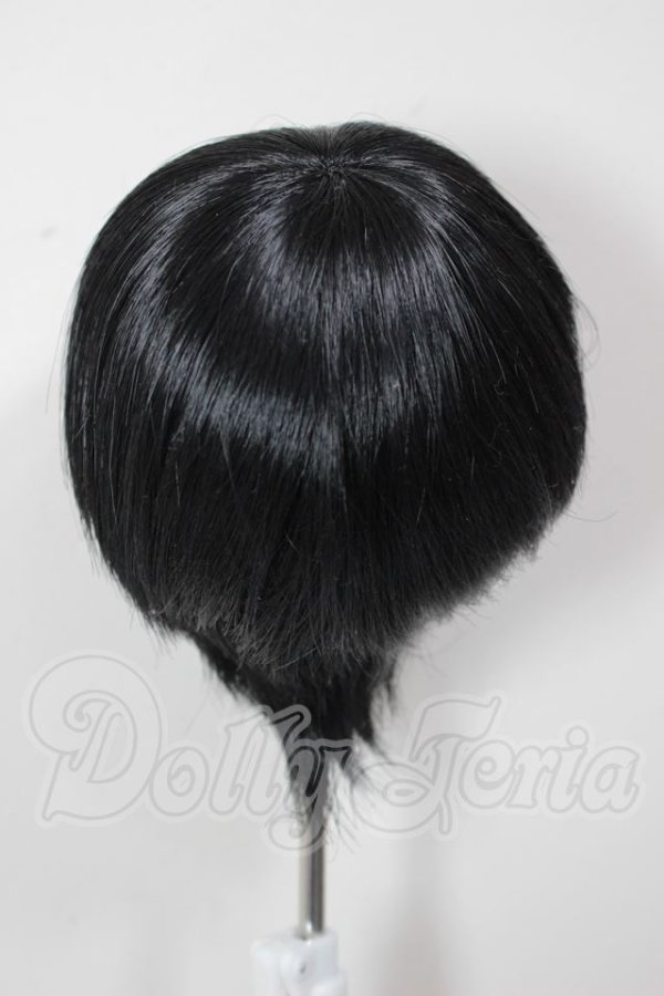 画像2: 8-9inch/ウィッグ A-26-04-29-148-NY-ZA (2)