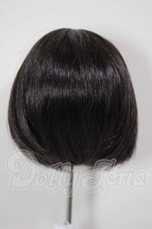 画像2: 8-9inch/ウィッグ A-26-04-29-149-NY-ZA (2)