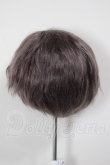 画像2: 9inch/ウィッグ A-26-04-29-150-NY-ZA (2)