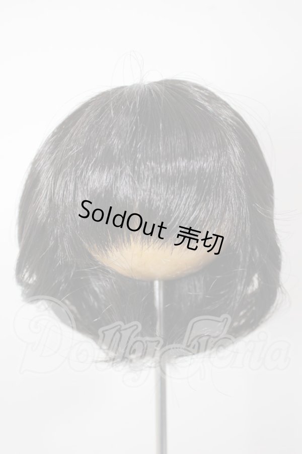 画像1: 8inch/ウィッグ A-26-04-22-367-NY-ZA (1)