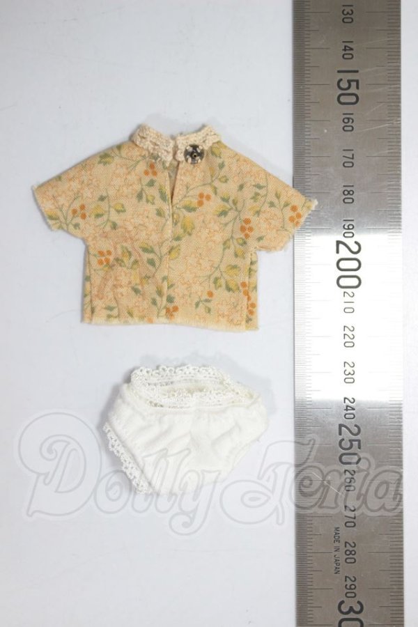 画像2: プチブライス/OF:衣装 A-26-04-29-230-NY-ZA (2)