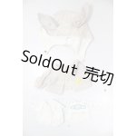 画像: ネオブライス/OF:衣装 A-26-04-29-186-NY-ZA