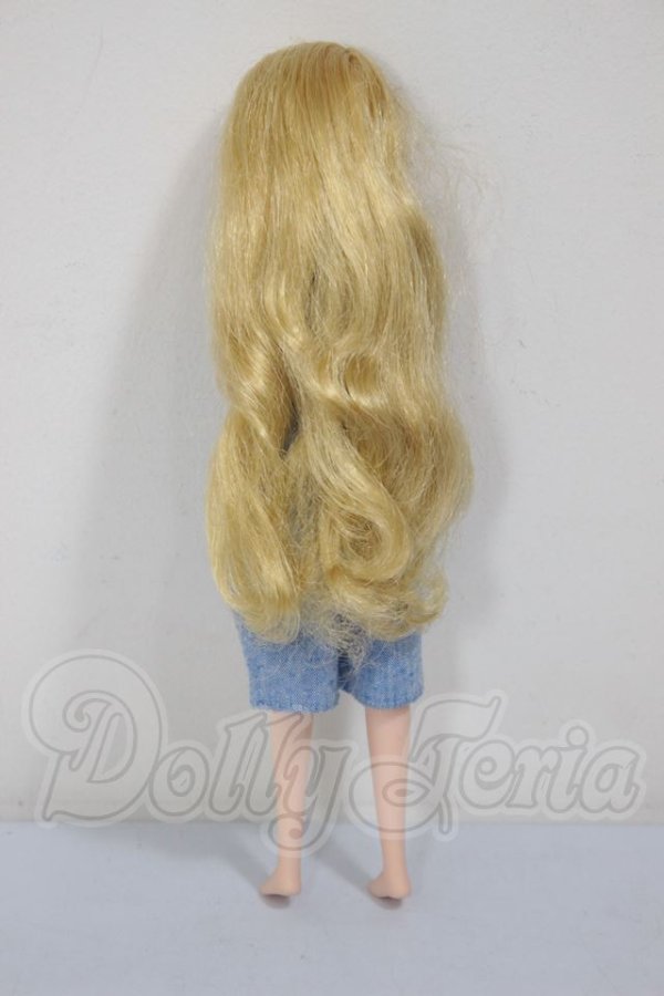 画像3: リカちゃん/いづみちゃん　本体 A-26-04-29-177-NY-ZA (3)