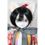 画像: DEAR MINE/VIVIEN L. ~ 初夢 ver. Limited A-26-04-29-253-NY-ZA