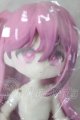 画像: 一万回の脱出計画/キツネ A-26-04-29-255-NY-ZA