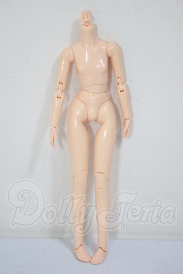 画像1: 21ｃｍ/女性ボディ A-26-05-05-113-NY-ZA (1)