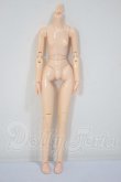 画像1: 21ｃｍ/女性ボディ A-26-05-05-112-NY-ZA (1)