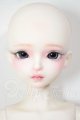 画像: MYOUDOLL/1/4/Delia A-26-05-05-119-NY-ZA
