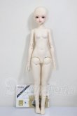 画像5: MYOUDOLL/1/4/Delia A-26-05-05-119-NY-ZA (5)
