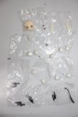 画像1: 秘境巡礼/パーツ A-26-05-12-323-NY-ZA (1)