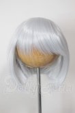 画像1: 7-8inch/ウィッグ A-26-04-29-288-NY-ZA (1)