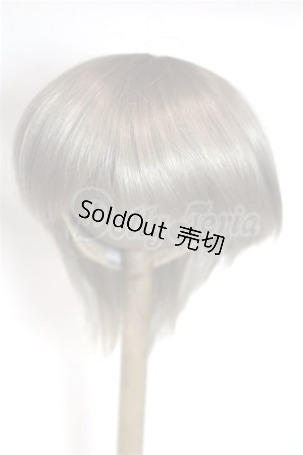 画像1: 8-9inch/ウィッグ/インチ　BJD　MJD　ドール用 A-26-05-12-027-NY-ZA (1)