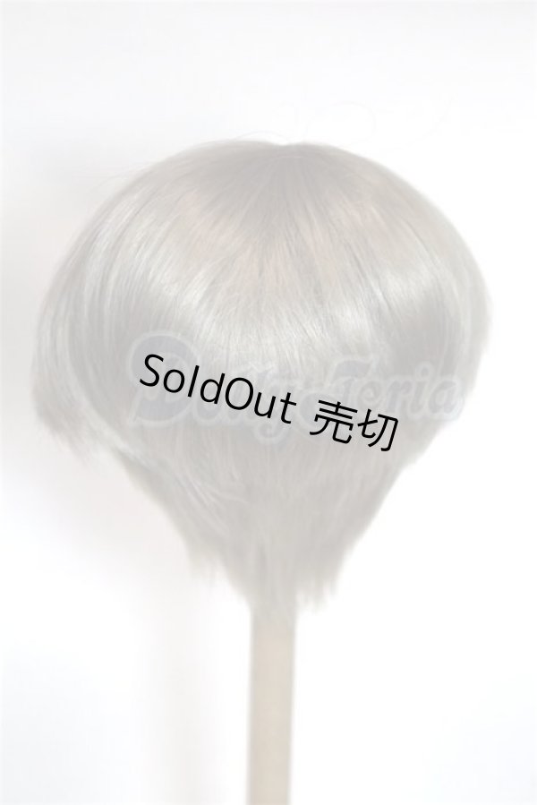 画像2: 8-9inch/ウィッグ/インチ　BJD　MJD　ドール用 A-26-05-12-027-NY-ZA (2)