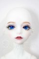 画像: Dream Valley/Silence A-26-05-05-121-NY-ZA