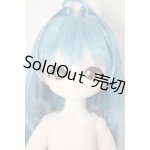 画像: TinyFox/OF：?中雀 カルディス A-26-05-05-246-NY-ZA