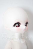 画像3: TinyFox/OF：?中雀 カルディス A-26-05-05-246-NY-ZA (3)