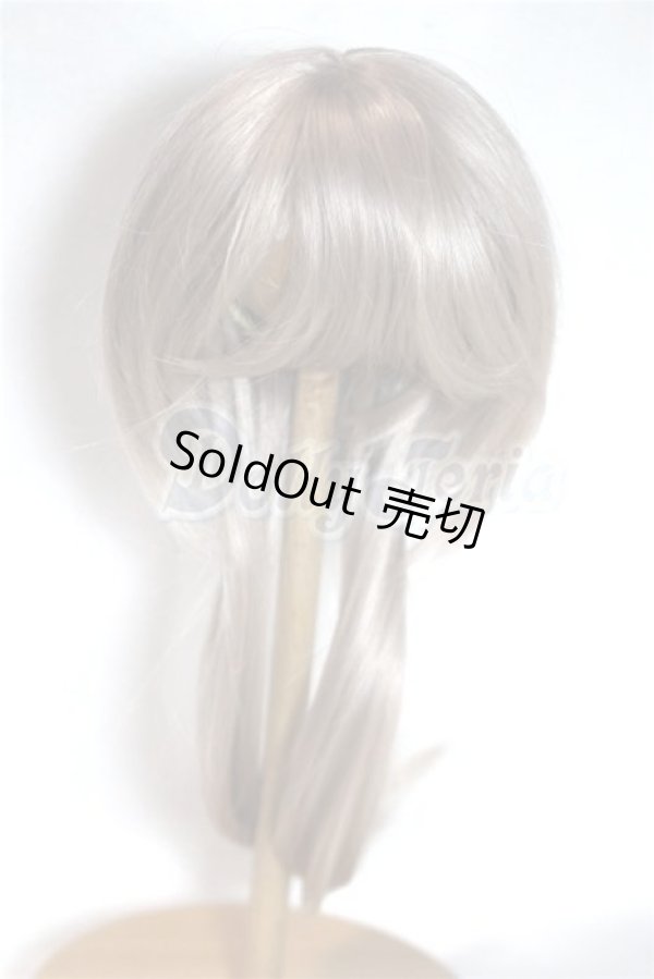 画像1: 8-9inch/ウィッグ/インチ　BJD　MJD　ドール用 A-26-05-12-032-NY-ZA (1)
