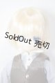 画像: AZONE/Alvastaria(アルヴァスタリア) ニール 〜旅立ちの日〜 A-26-05-05-208-NY-ZA