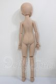画像2: IMOMODOLL/MIKOヘッド・ボディ A-26-05-05-250-NY-ZA (2)