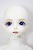 画像1: MYOU DOLL/Mousee A-26-05-05-249-NY-ZA (1)