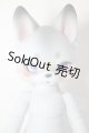 画像: KUMUKUKU/Xass A-26-05-05-319-NY-ZA