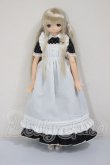 画像2: AZONE/こもれび森のどうぶつたち♪ぎんぎつねさん　リアン A-26-05-05-297-NY-ZA (2)