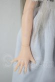 画像4: AZONE/こもれび森のどうぶつたち♪ぎんぎつねさん　リアン A-26-05-05-297-NY-ZA (4)