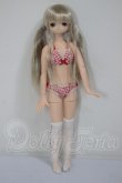 画像5: AZONE/こもれび森のどうぶつたち♪ぎんぎつねさん　リアン A-26-05-05-297-NY-ZA (5)