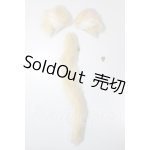 画像: MDD/猫耳・尻尾 A-26-05-05-288-NY-ZA