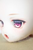 画像3: DDH-01/ カスタムヘッド　AK*doll様カスタム A-26-05-05-254-NY-ZA (3)