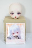 画像6: DDH-01/ カスタムヘッド　AK*doll様カスタム A-26-05-05-254-NY-ZA (6)