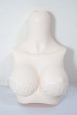 画像1: MDD/上半身パーツ A-26-05-05-257-NY-ZA (1)