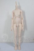 画像1: MDD/ベースボディIII A-26-05-05-368-NY-ZA (1)
