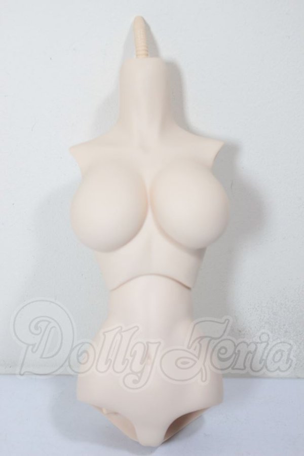 画像1: DDIII/上半身L胸フラット・下半身 A-26-05-05-381-NY-ZA (1)