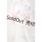 画像: MINTY/ファンタジーの森 うさぎ 桃丸 A-26-05-05-386-NY-ZA