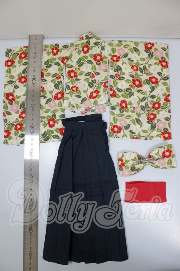 画像2: Myou Doll/OF:Zuzana -文学少女- Literature A-26-05-12-115-NY-ZA (2)