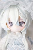 画像1: 不可食用人形 Inedible Doll/月飛び時間:攬星(シークレット) A-26-05-12-105-NY-ZA (1)