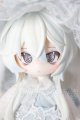 画像: 不可食用人形 Inedible Doll/月飛び時間:攬星(シークレット) A-26-05-12-105-NY-ZA