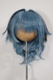 画像1: 8-9inch/ウィッグ　いちごハムスター様　ウィッグ A-26-05-12-119-NY-ZA (1)