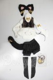 画像1: MDD/OF:衣装セット A-26-05-12-186-NY-ZA (1)