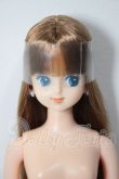 画像1: リカちゃんキャッスル/ジュディ A-26-05-12-317-NY-ZA (1)
